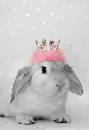 2. Queen Bunny