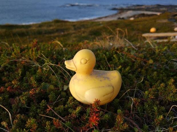 Vladimir Matusevitch found this rubber duck while on holiday with his family on the Arctic shores of the Rybachy Peninsula, Russia. (Submitted by Vladimir Matusevitch - image credit)