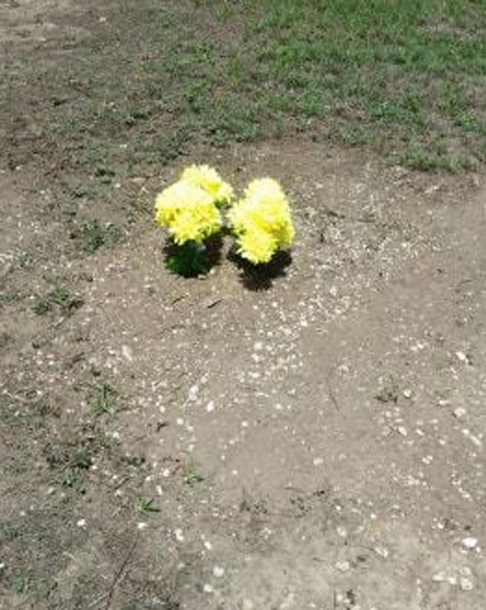 A mother has been left heartbroken after finding her son’s roadside memorial was removed. Photo: Facebook/ Julie Watts