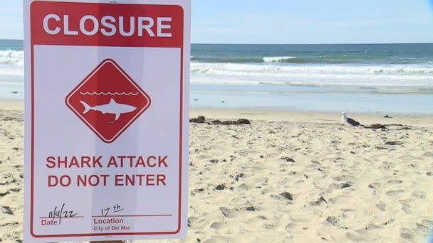 PHOTO: A beach in Del Mar, California, is closed following a shark attack, Nov. 4, 2022. (KGTV)