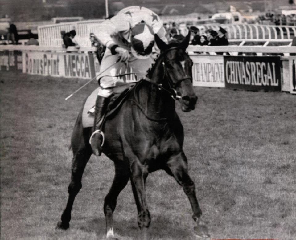 Rhyme N Reason won the 1988 Grand National, ridden by Brendan Powell