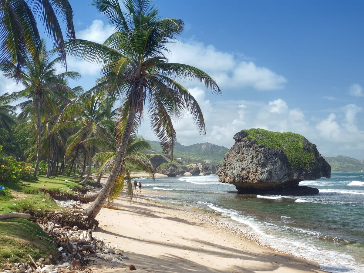 Bathsheba in Barbados, just one of the country’s offering remote working opportunities  (Getty Images/iStockphoto)