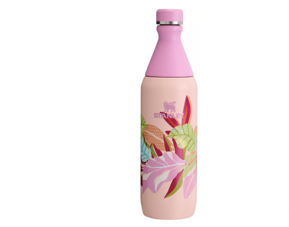 <p><a href="https://go.redirectingat.com?id=74968X1596630&url=https%3A%2F%2Fwww.dickssportinggoods.com%2Fp%2Fstanley-20-ozall-day-slim-bottle-mothers-day-collection-24staustnlylldyslhyd%2F24staustnlylldyslhyd&sref=https%3A%2F%2Fwww.thepioneerwoman.com%2Ffood-cooking%2Fa60592877%2Fstanley-floral-tumbler-collection-2024%2F" rel="nofollow noopener" target="_blank" data-ylk="slk:Shop Now;elm:context_link;itc:0;sec:content-canvas" class="link ">Shop Now</a></p><p>Stanley 20 oz. All Day Slim Bottle - Sorbet Tropic</p><p>dickssportinggoods.com</p><p>$30.00</p>