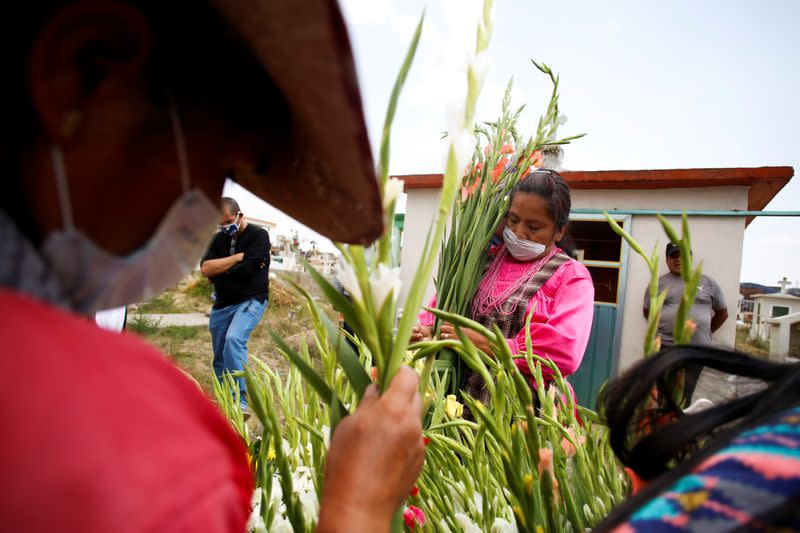 Outbreak of the coronavirus disease (COVID-19) in the state of Mexico