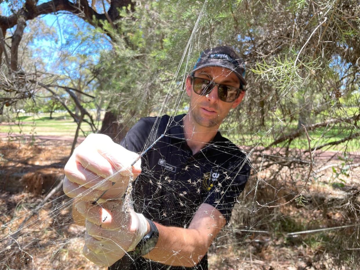 Josh Newton, a PhD candidate at Curtin’s School of Molecular and Life Sciences in Australia, collects spider webs so he can analyze them for animal DNA. (Morten Allentoft - image credit)