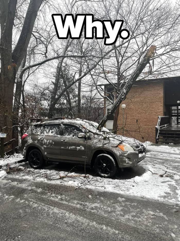 A parked car with a large tree branch through the front window