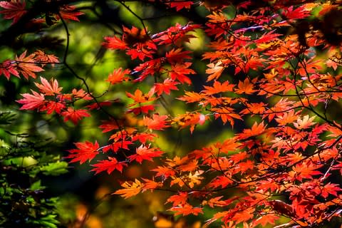 Seoraksan National Park - Credit: getty