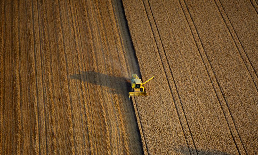 <span>Photograph: Jason Hawkes/Getty Images</span>