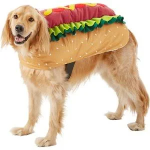 hot dog dog and cat costume, Halloween costume for dogs