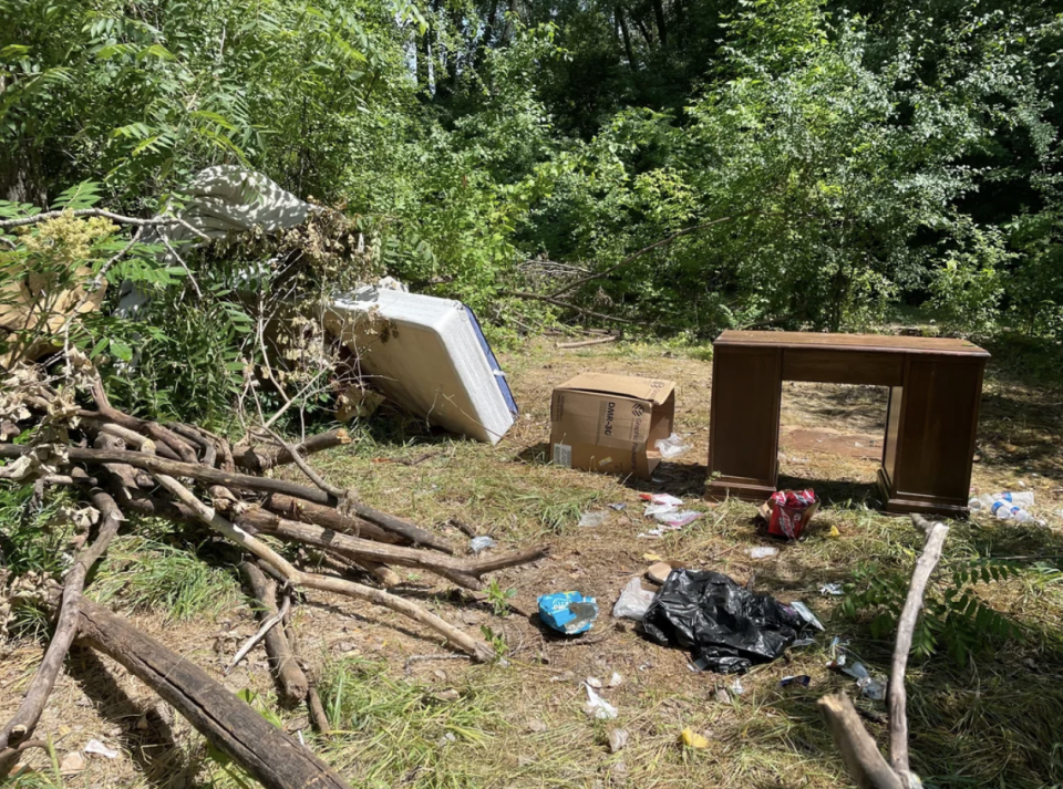 Discarded furniture and trash littering a forested area, highlighting pollution