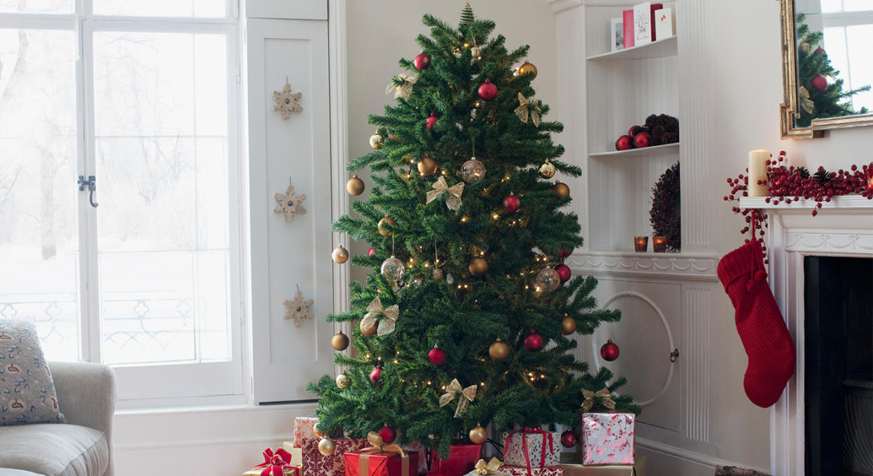 Want to put up your Christmas tree this weekend? These are the best ones to buy. [Photo: Getty]