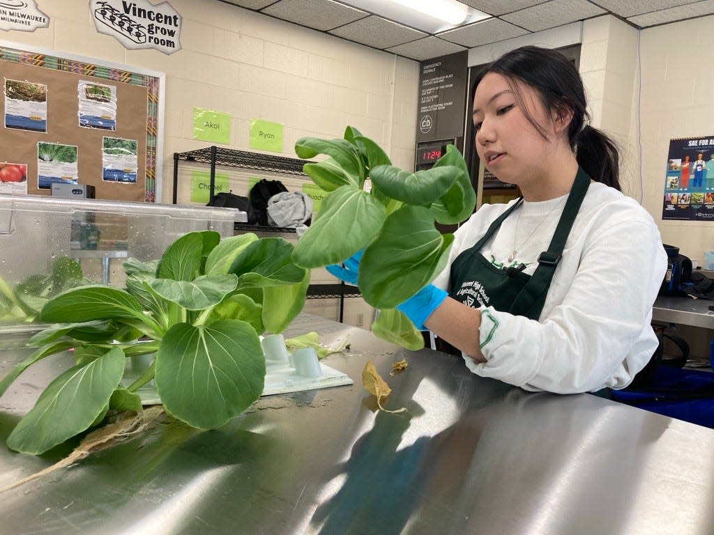Vincent High School student Ab Sheng Xiong works with produce grown in the school's Flex Farm.