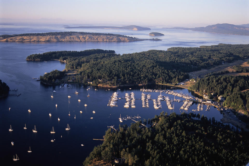 Boats in a harbor, San Juan Island.