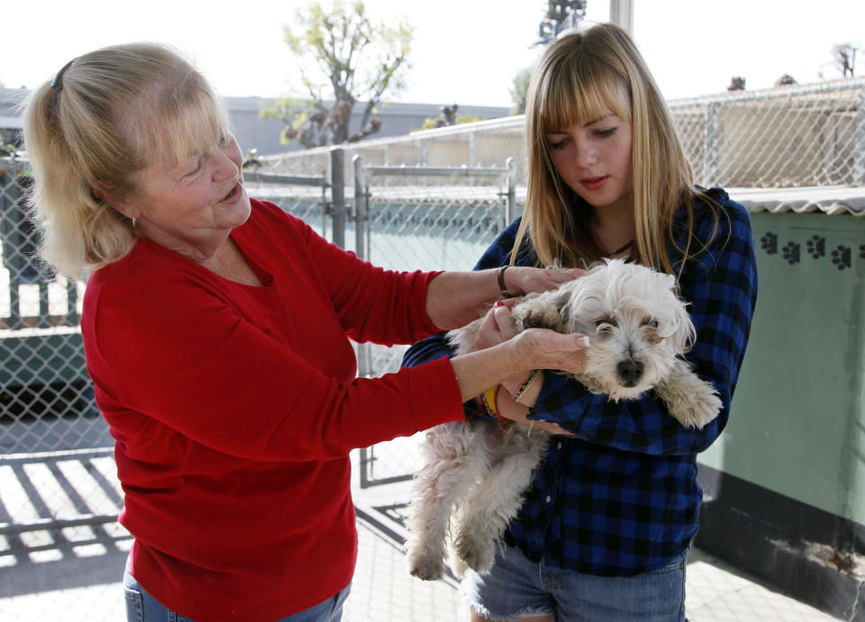 Carol Adams, left, and her daughter Michelle look into adopting a dog at the OC Animal Care shelter in Orange, Calif., on Tuesday, Dec. 17, 2013. Some shelters around the country are ramping up for Christmas Day deliveries of new family pets, a move applauded by the American Society for the Prevention of Cruelty to Animals, whose new study supports seasonal adoptions. But some shelter leaders maintain that adoptions are better left for after the holiday rush. The Society for the Prevention of Cruelty to Animals Los Angeles, which is not affiliated with the national organization, still discourages pets as presents. (AP Photo/Nick Ut)