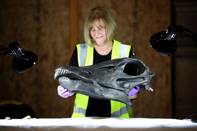 Dippy the Diplodocus skeleton 