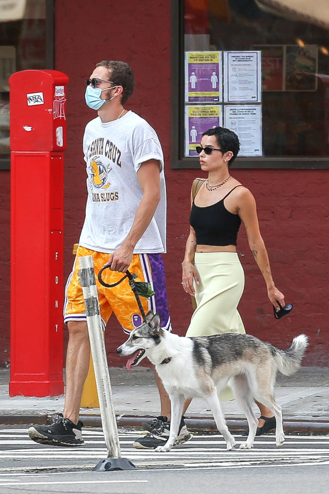 Aubrey Plaza wears a casual shirt and denim shorts while walking her dogs  in Los Feliz