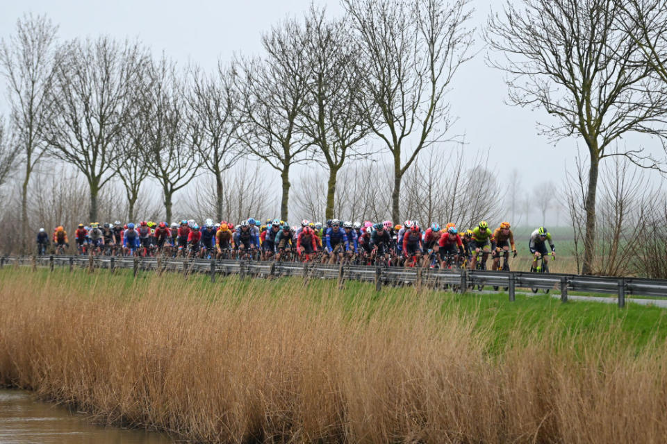 DE PANNE BELGIUM  MARCH 22 A general view of the peloton competing during the 47th Minerva Classic Brugge  De Panne 2023 a 211km one day race from Brugge to De Panne on March 22 2023 in De Panne Belgium Photo by Luc ClaessenGetty Images