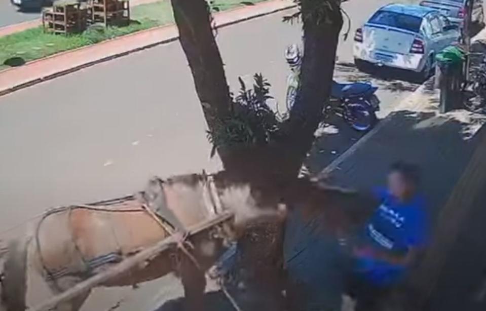 巴西議員走在路上，突然被馬「襲胸」。（翻攝自Portal ClickPB YouTube頻道）