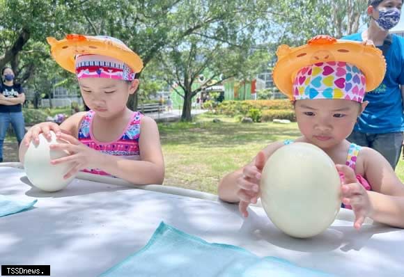 頑皮世界野生動物園端午連假期間每天都有立蛋挑戰賽，吸引許多民眾來挑戰立鴕鳥蛋樂趣。（記者李嘉祥攝）