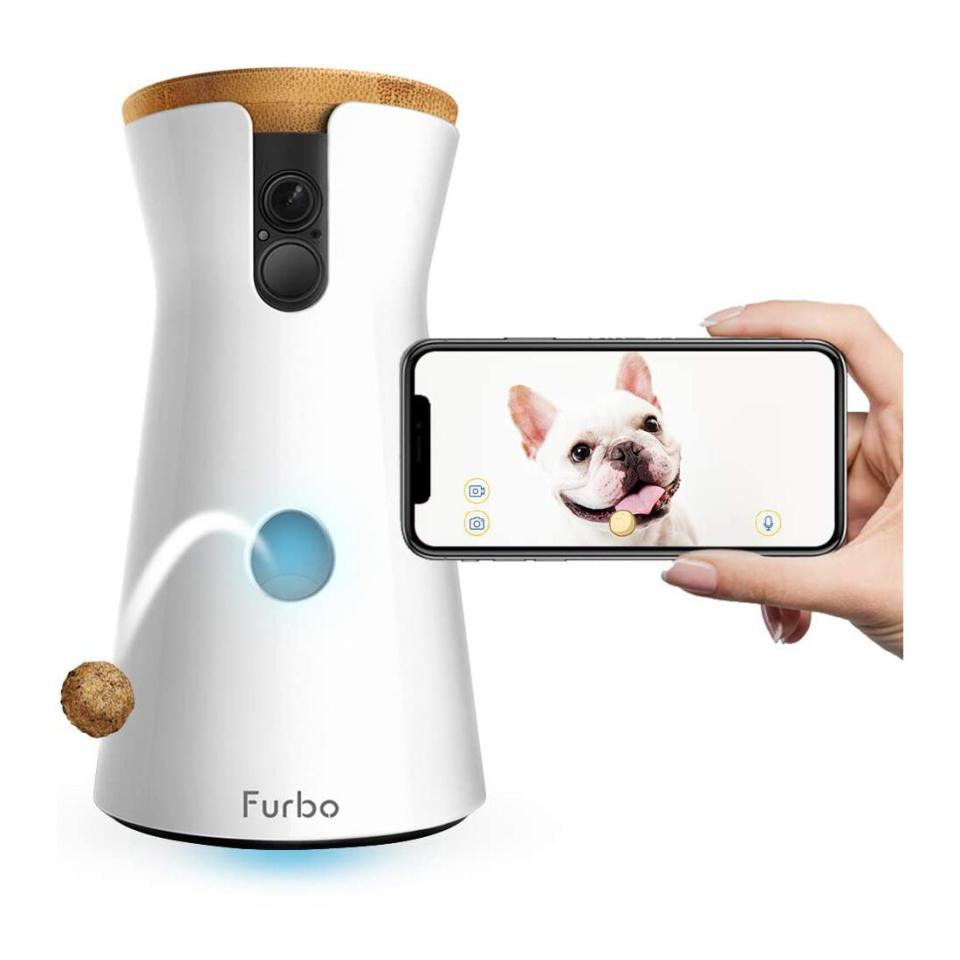 Furbo Dog Camera