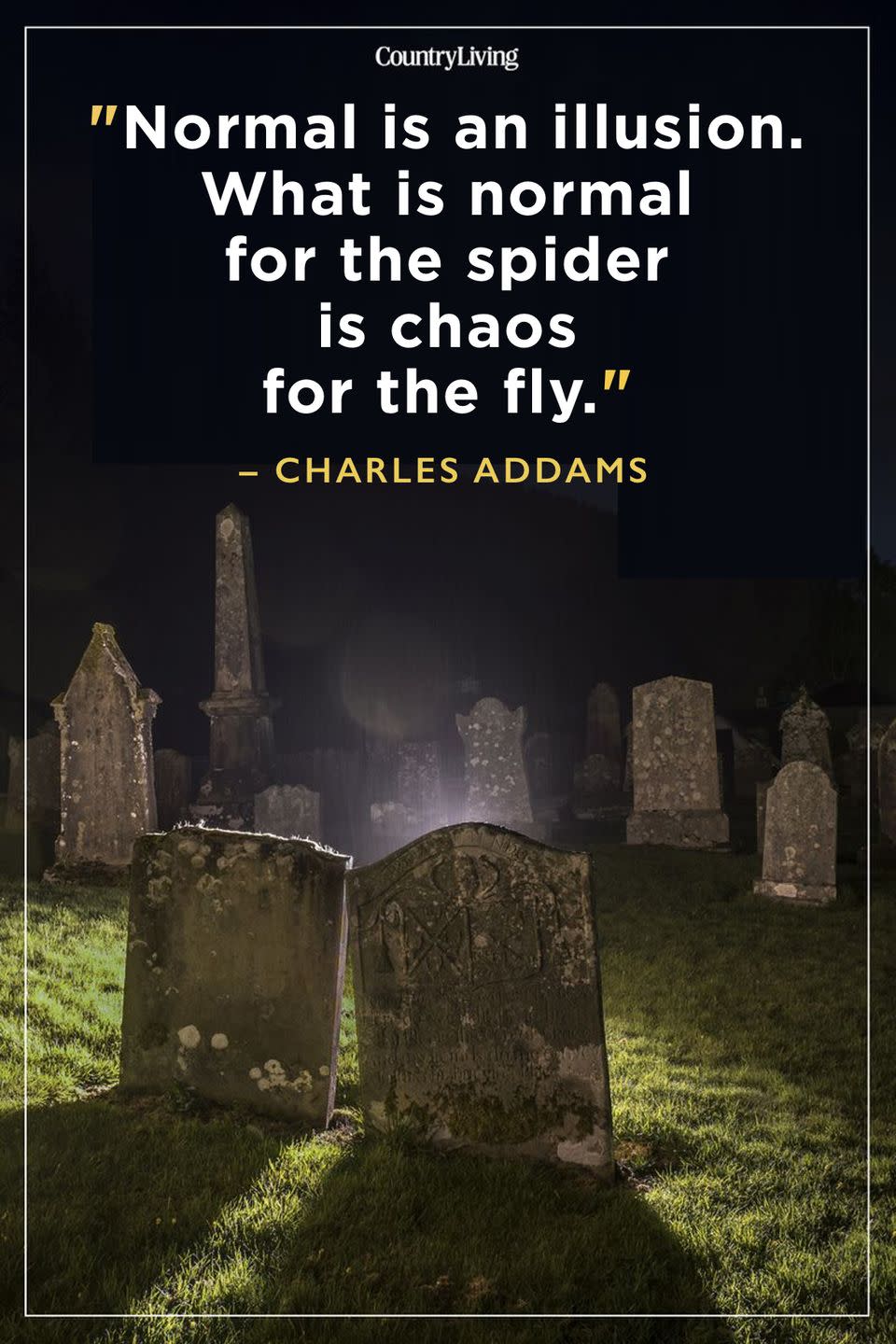 <p>“Normal is an illusion. What is normal for the spider is chaos for the fly.”</p>