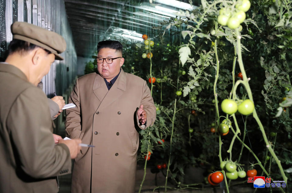 North Korean leader Kim Jong Un visits the Jungphyong Vegetable Greenhouse Farm and Tree Nursery in Kyongsong County, North Korea, in this undated picture released by North Korea's Central News Agency (KCNA) on October 18, 2019.     KCNA via REUTERS    ATTENTION EDITORS - THIS IMAGE WAS PROVIDED BY A THIRD PARTY. REUTERS IS UNABLE TO INDEPENDENTLY VERIFY THIS IMAGE. NO THIRD PARTY SALES. SOUTH KOREA OUT. NO COMMERCIAL OR EDITORIAL SALES IN SOUTH KOREA.