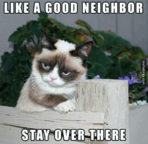 grumpy cat youre welcome