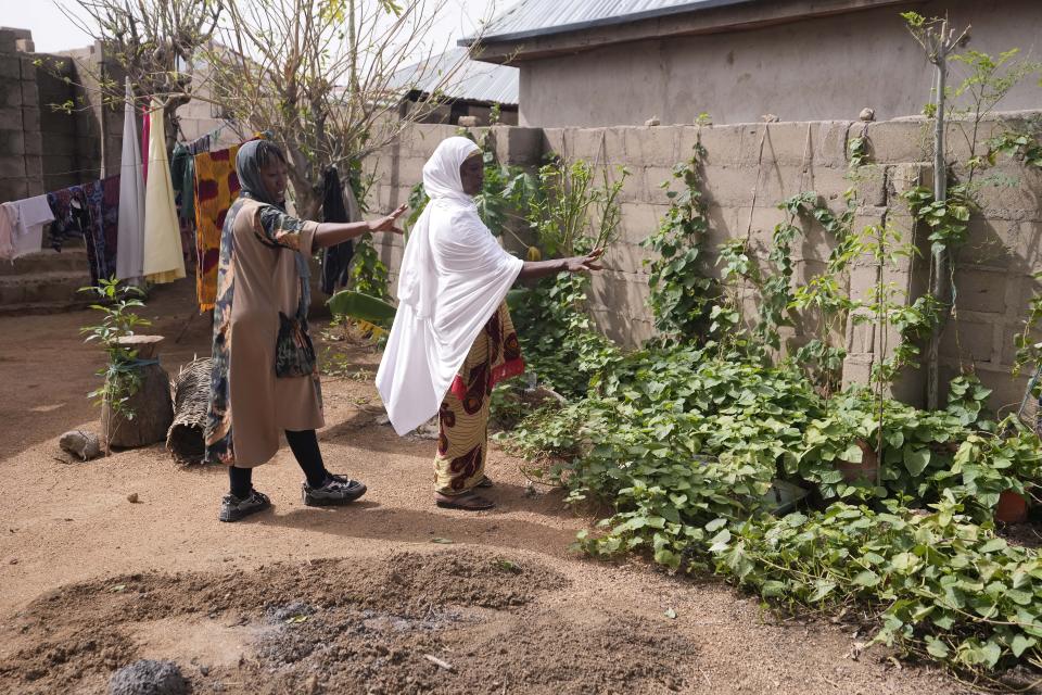 Ladi Abdullahi, UNICEF and trainer, left, and Hauwa Bwami, right, 50-year-old widow and mother of five, inspect her orange-fleshed sweet potato, farm in Kaltungo Poshereng Nigeria, Sunday, June 2, 2024. More than a dozen women gathered this week in Kaltungo's Poshereng village where they are learning at least 200 recipes they can prepare with those local foods which, in the absence of rain, are grown in sand-filled sacks that require small amounts of water. The training session mirrored the struggles of households who are more challenged amid Nigeria's worst cost of living crisis. (AP Photo/Sunday Alamba)