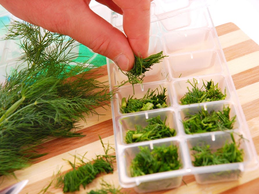 herbs ice tray