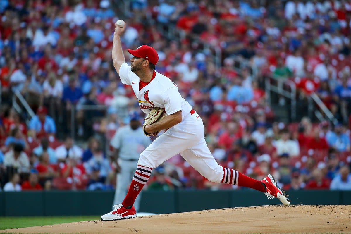 CACHORROS-CARDENALES (AP)