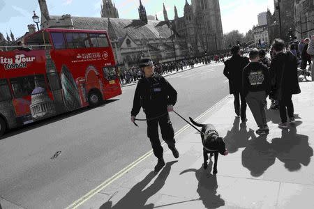 A police dog handler patrols in Parliament Square following the attack in Westminster earlier in the week, in central London, Britain March 26, 2017. REUTERS/Neil Hall