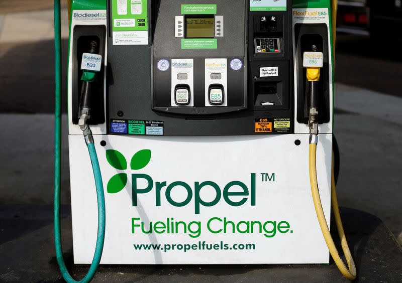 FILE PHOTO: Pump at an alternative fueling station that provides fuel other than gasoline is shown in San Diego, California