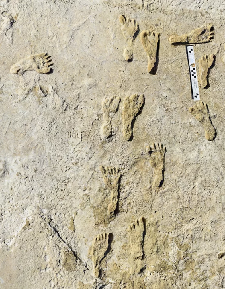 White Sands has the largest collection of fossilized human footprints, according to the National Parks Service. / Credit: NPS Photo