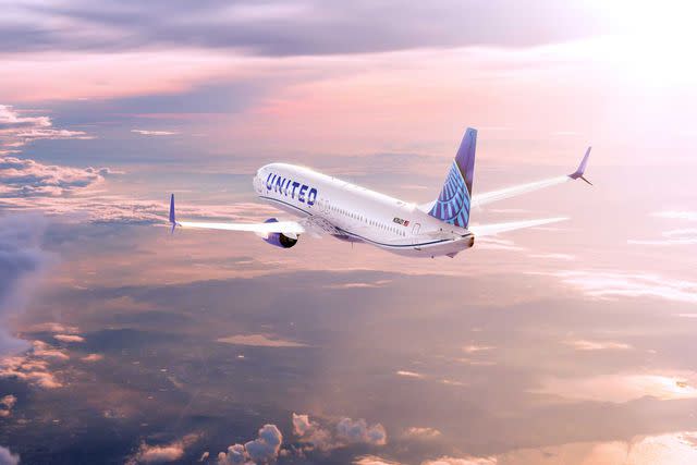 <p>Courtesy of United Airlines</p> A United Airlines plane in flight.