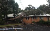 A tree toppled over onto a daycare centre in Lane Cove. Photo: ABC News