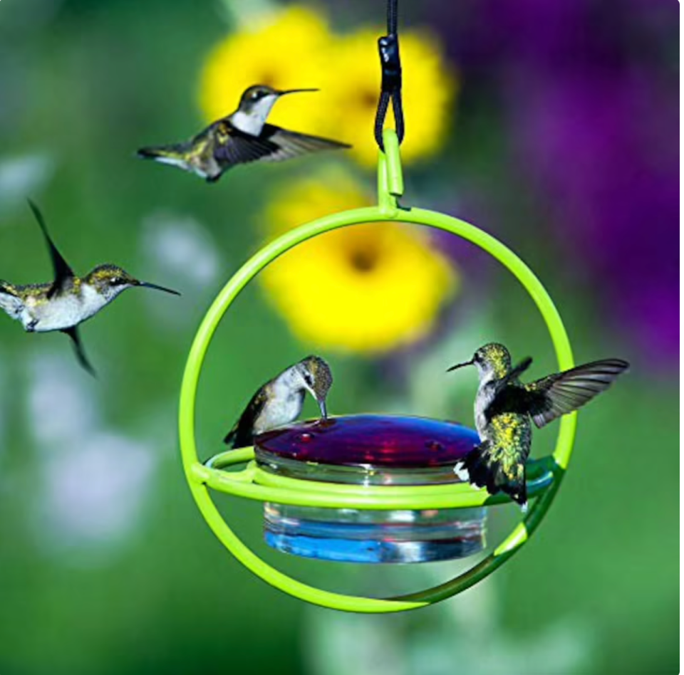 Four hummingbirds on an artistic, metal bird feeder