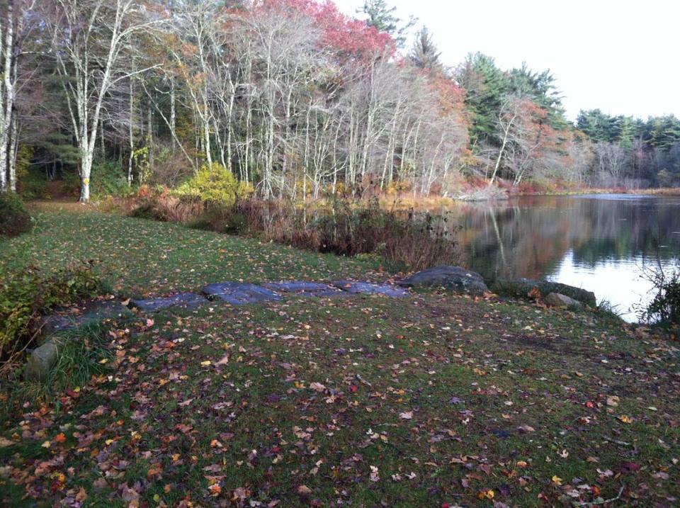 Join the scavenger hunt at Paskamansett Woods, Chase Road, Dartmouth.