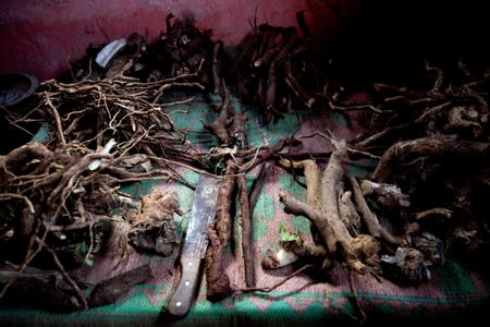 The Wider Image: Tanzania's Zanzibar begins to register traditional healers