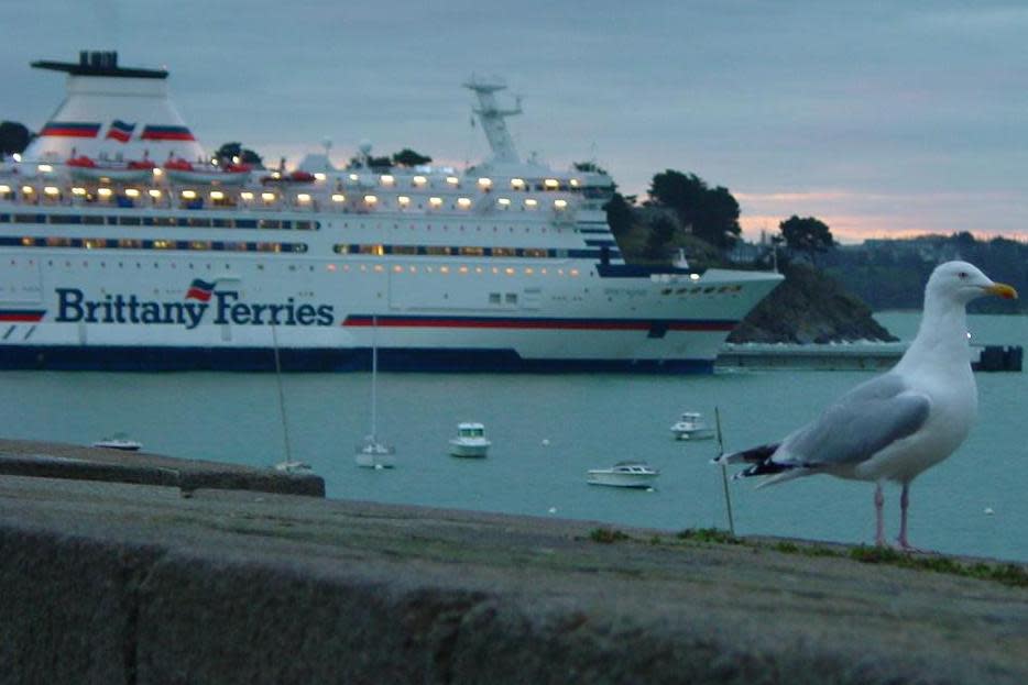 Brexit: Thousands of cross-Channel ferry journeys cancelled because of no-deal plans