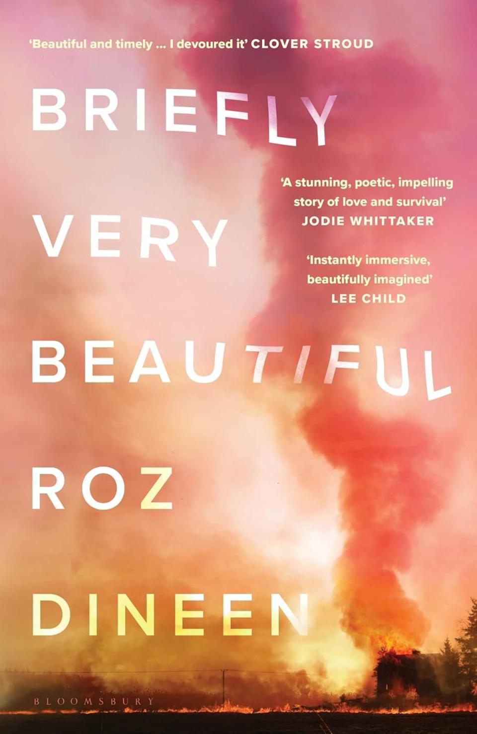 Briefly very beautiful by Roz Dineen (Author)