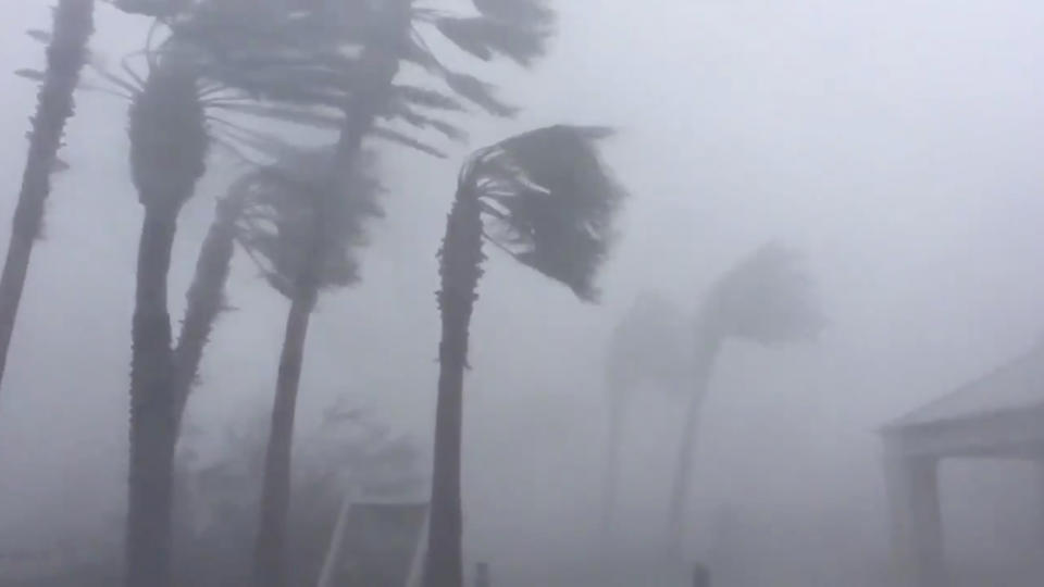 Hurricane Michael crashes into Florida Panhandle