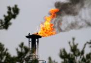 FILE PHOTO: A flame burning natural gas is seen at an oil refinery located on a branch of the Druzhba oil pipeline near Mozyr