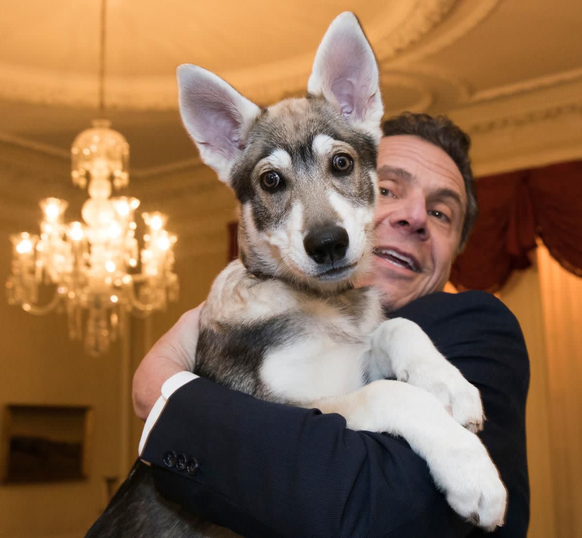 New York Gov. Andrew Cuomo and his dog, "Captain"