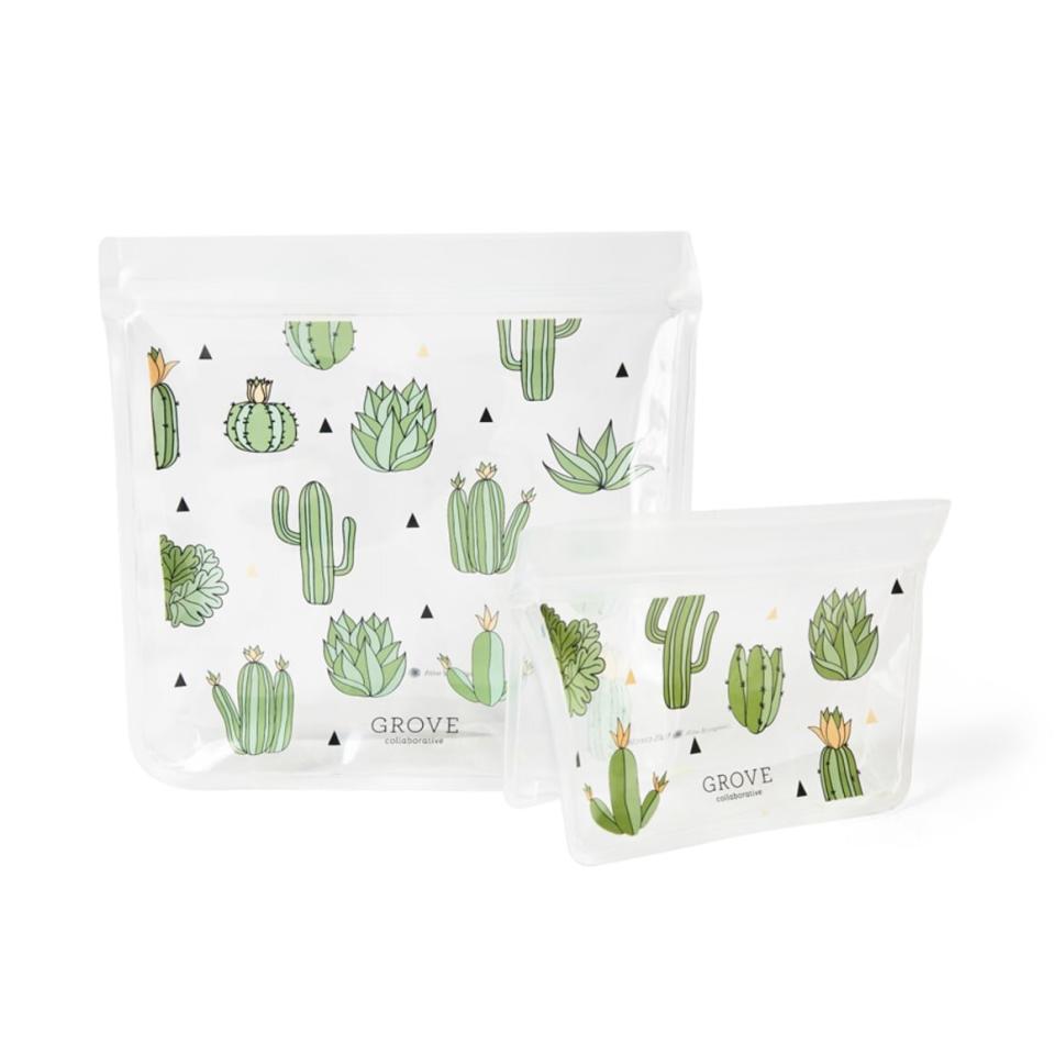 Cactus Snack Bags
