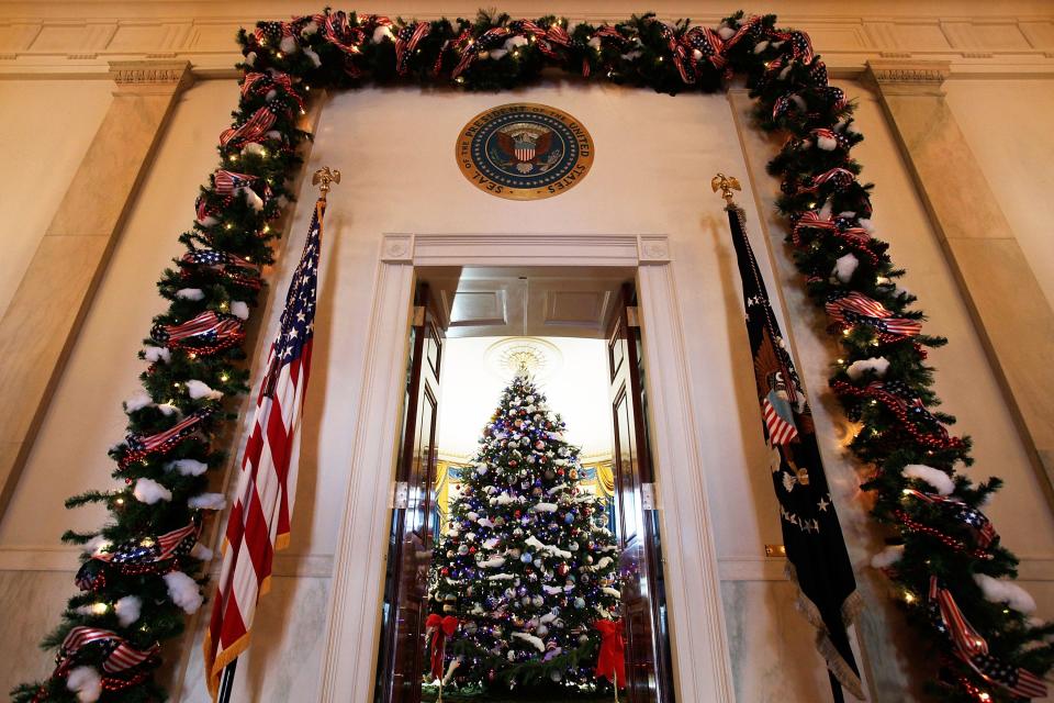 The official White House Christmas Tree in 2008.