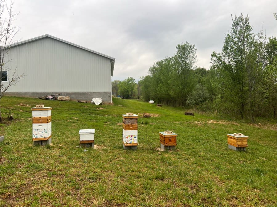 Putnam County bees