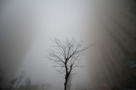 Buildings are seen in heavy smog during a polluted day in Jinan, Shandong province. REUTERS/Stringer