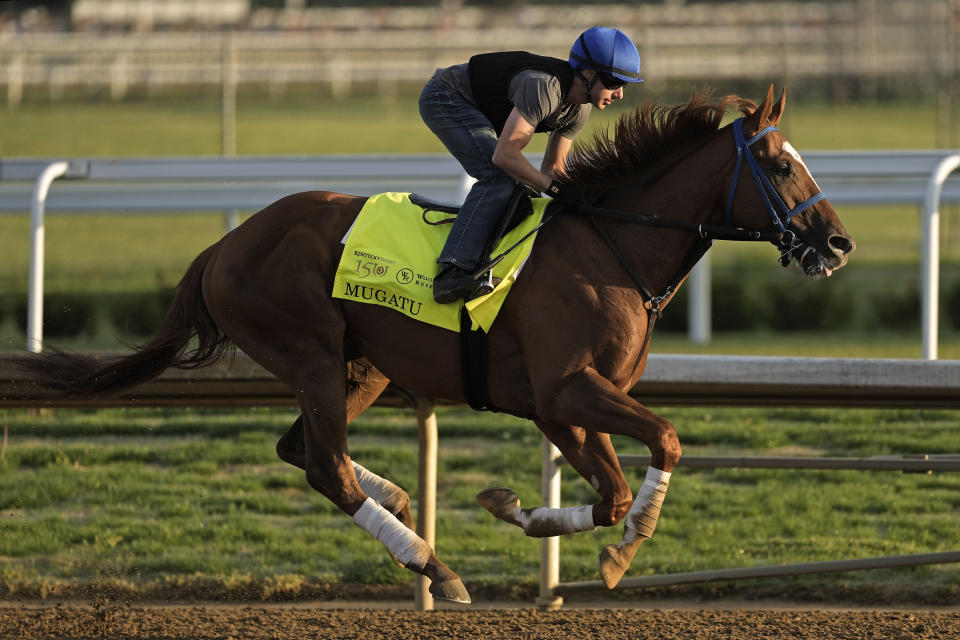 Kentucky Derby alternate Mugatu works out at Churchill Downs Wednesday, May 1, 2024, in Louisville, Ky. The 150th running of the Kentucky Derby is scheduled for Saturday, May 4. (AP Photo/Charlie Riedel)