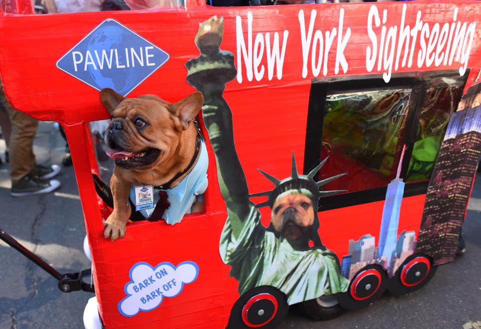 Costumed pooches prance In annual Halloween Dog Parade in New York City