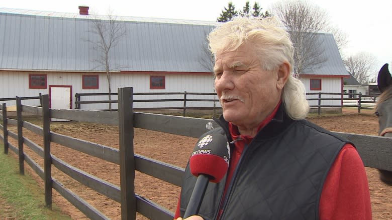 How a horse from P.E.I. found a new home with a boy with autism